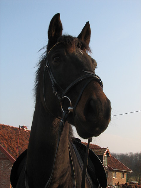 Wpis kamilka030