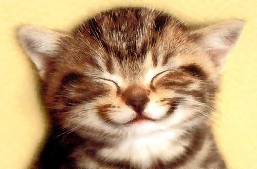 smilee.