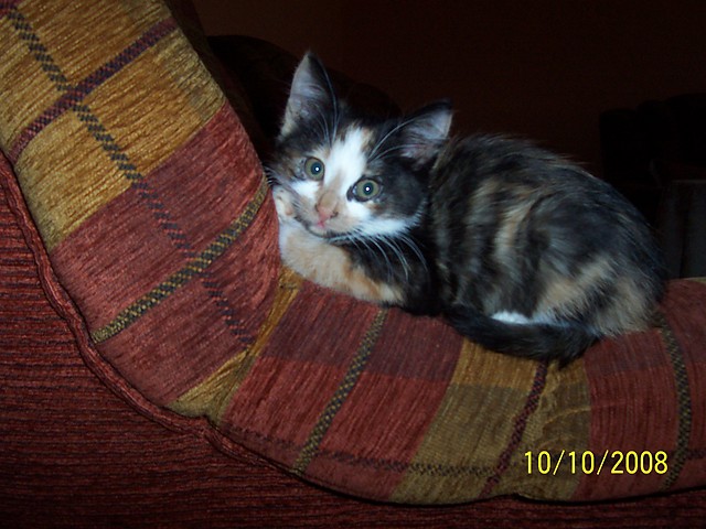 Wpis fifi1998