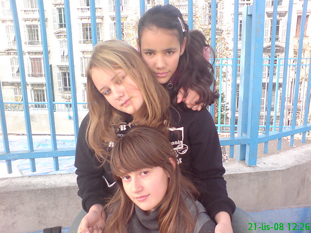 Wpis timida