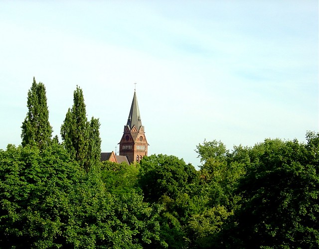 Koci
