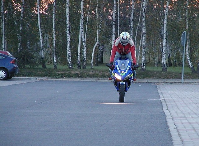 Wpis horse05