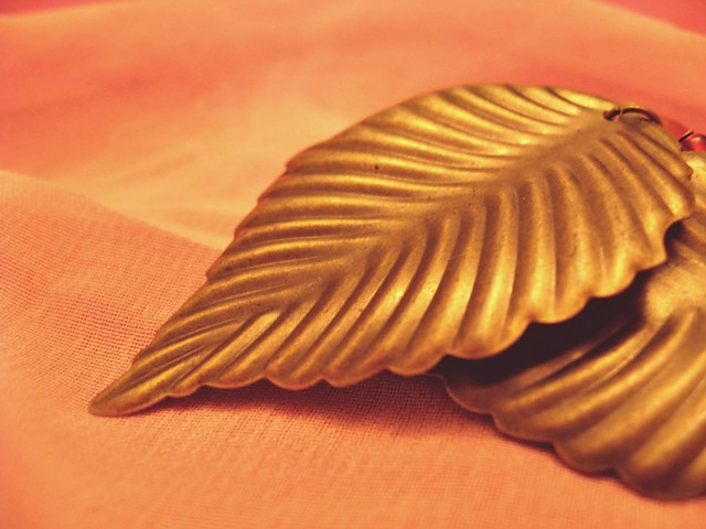 fallen leaves.