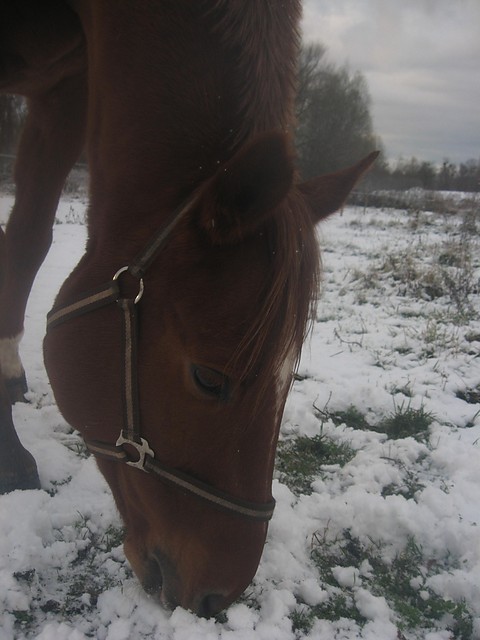 Espryt ^^