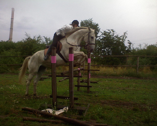 Synek ;*