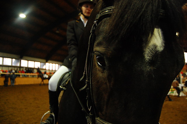 Wpis hoofka