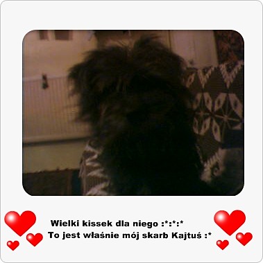 Wpis kajtolex