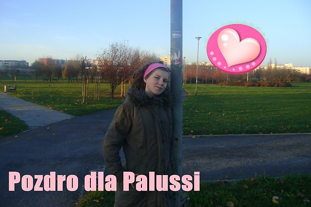 WAMiK xD