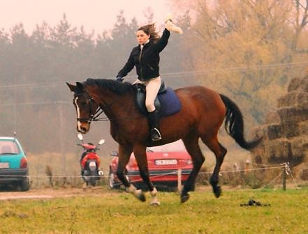 Wpis stevenka