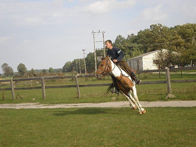 Wpis wojtek04011991