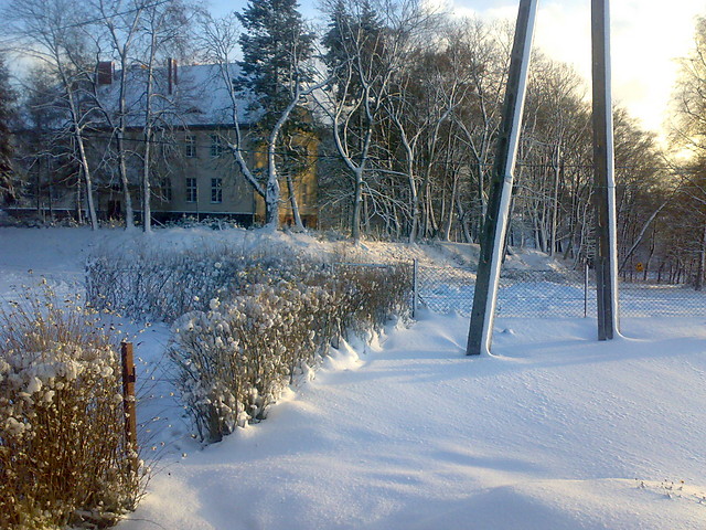 zima. 