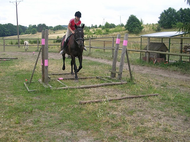 Cavaletti ; )