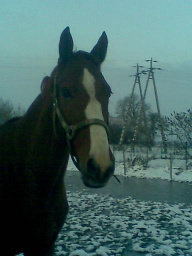 Salincia:))))))))