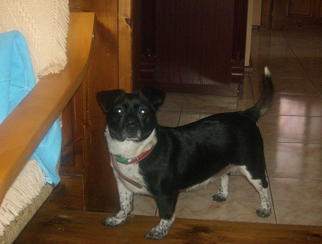 Sonia
