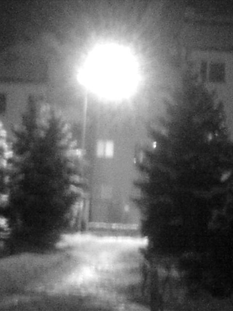 Wpis wielbladzi
