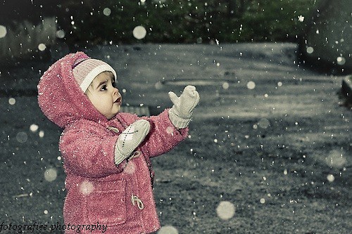 Wpis fotografiee