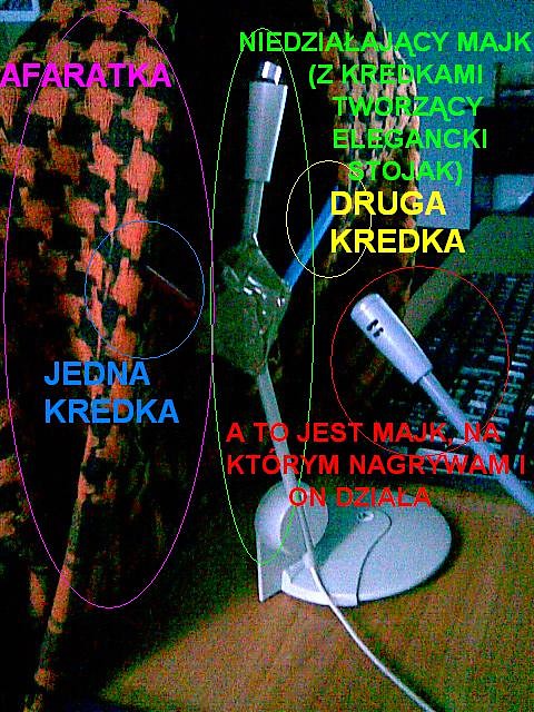 Wpis gengsta