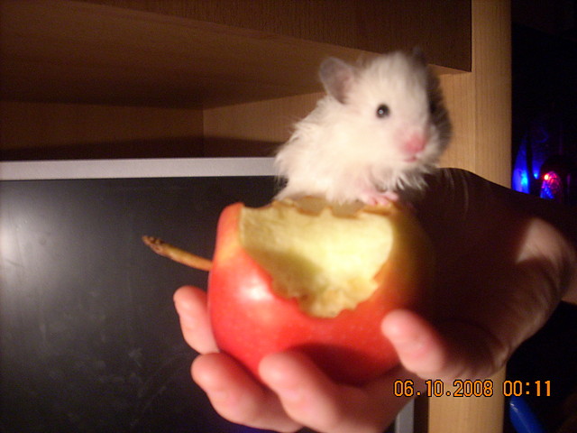 nieka < 3