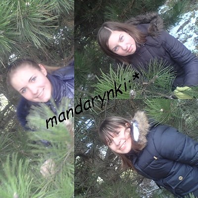 Wpis mandarynki94