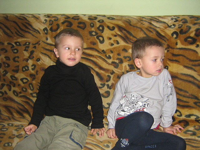 Wpis piotrek2006