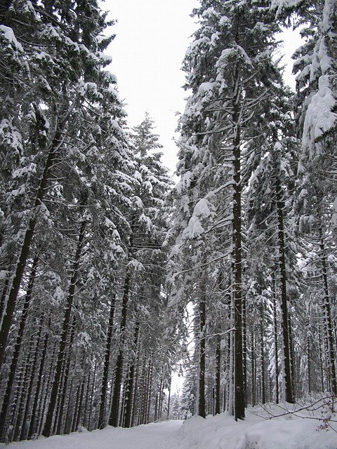 Wpis plytawinylowa