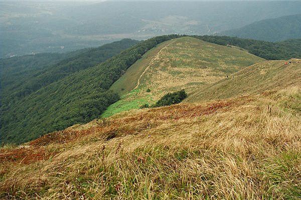 Wpis kochambieszczady