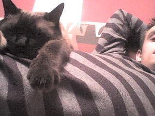 I znw Salem