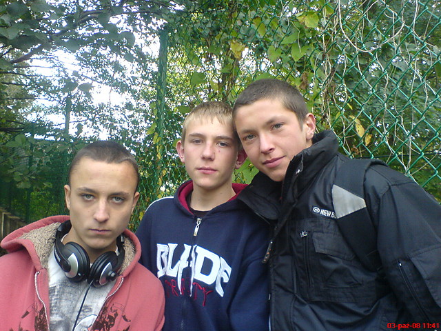 Rosyn,Orzech,Tajchert