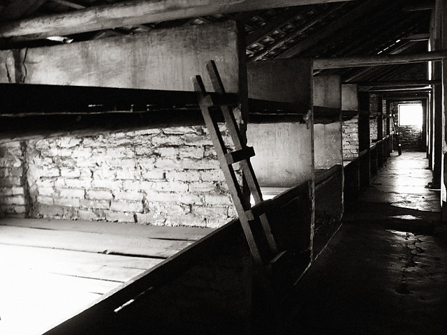 Birkenau OWICIM 2008