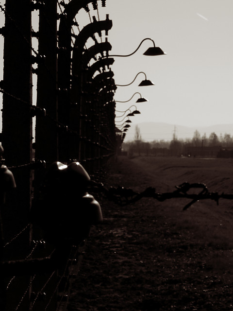 Birkenau OWICIM 2008