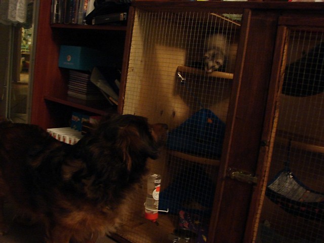 Max & Zoz