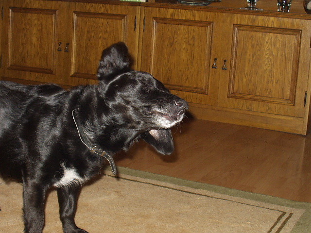 max