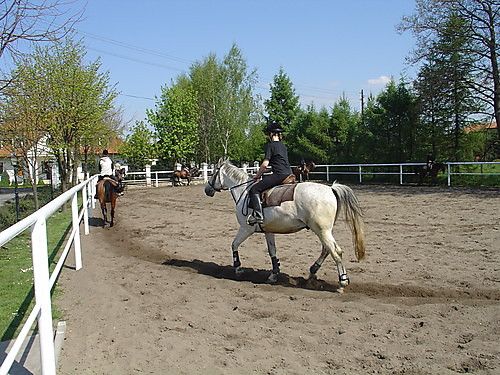 Wpis izusia90