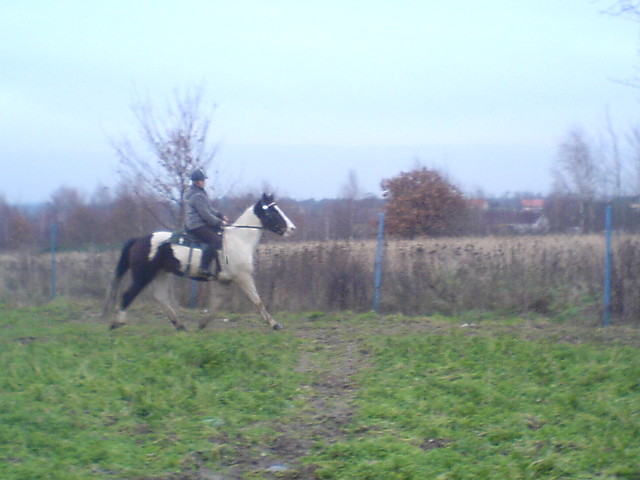 Na Riciaku ;*