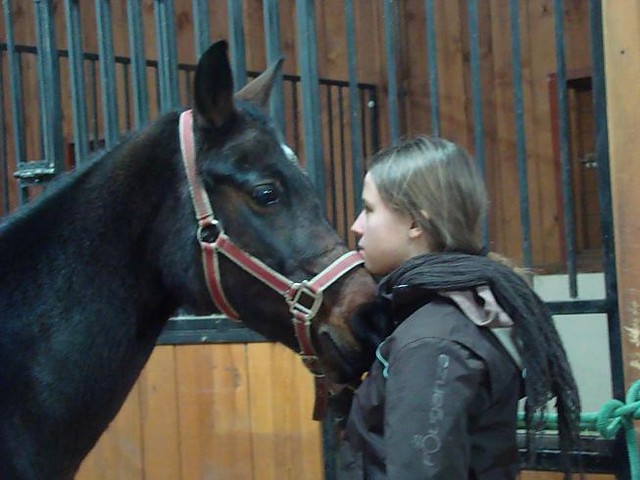 Wpis welikeourhorse