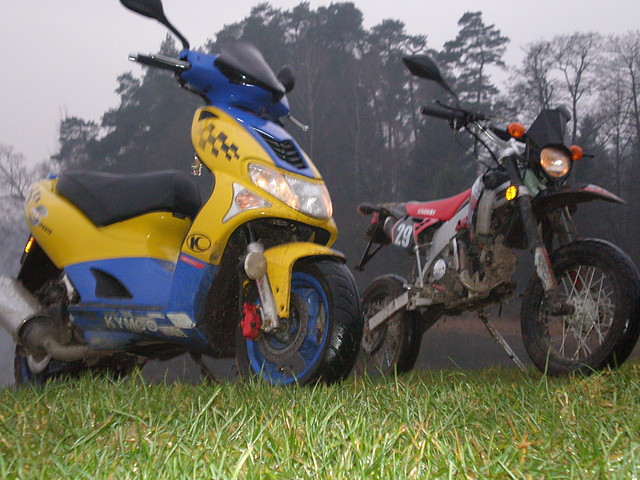 TAFTA 2008