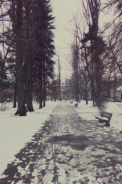 and then the winter came