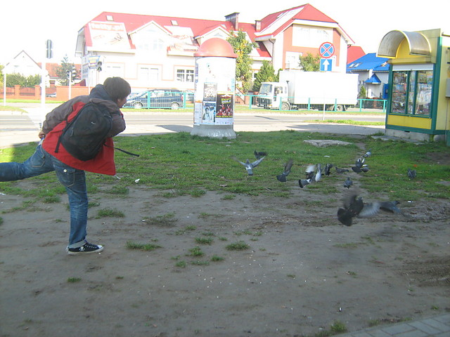 Ptaszki