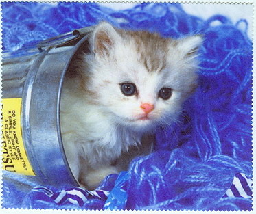 kocurek:*****************
