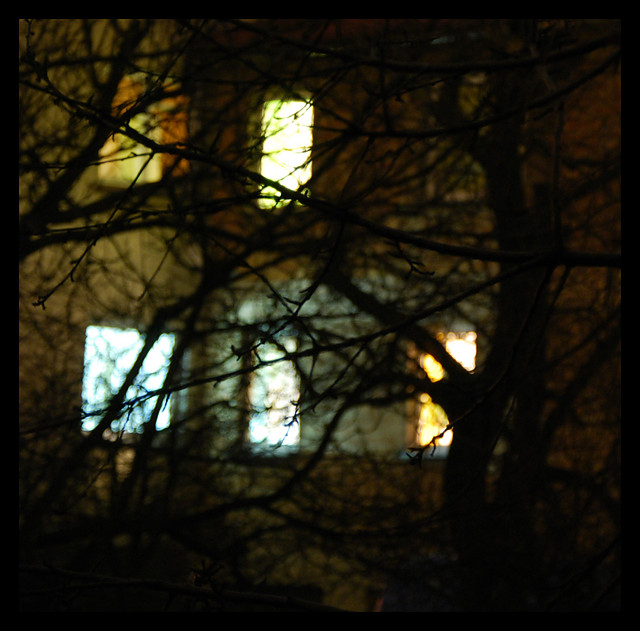 the light is sick in our windows