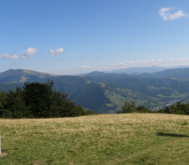 Wpis lubietenswiat