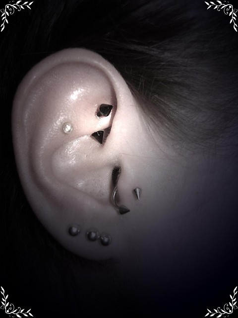 rook