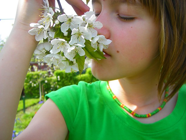 Wpis anfita