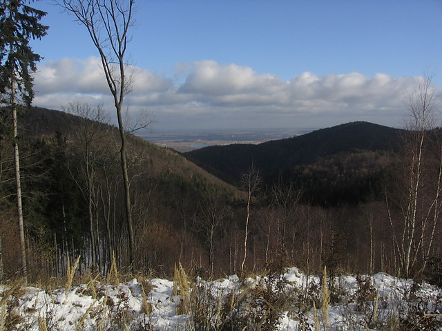 Wpis agniesiaczek