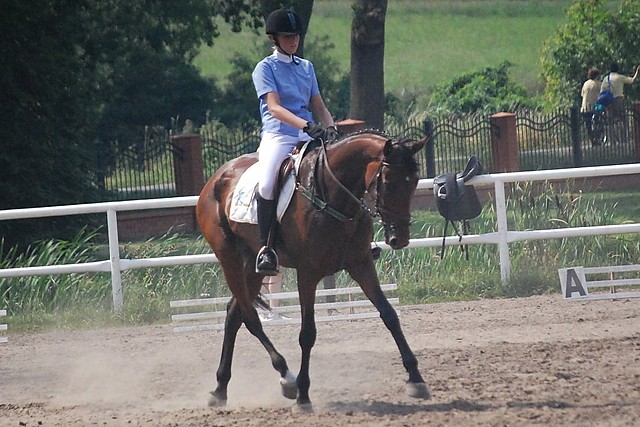 Wpis stables1