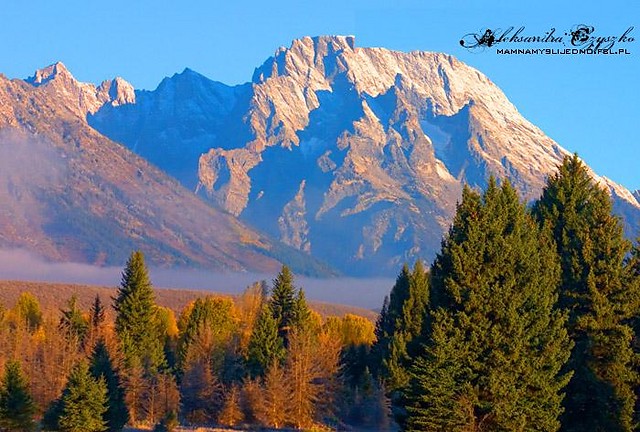 Yellowstone