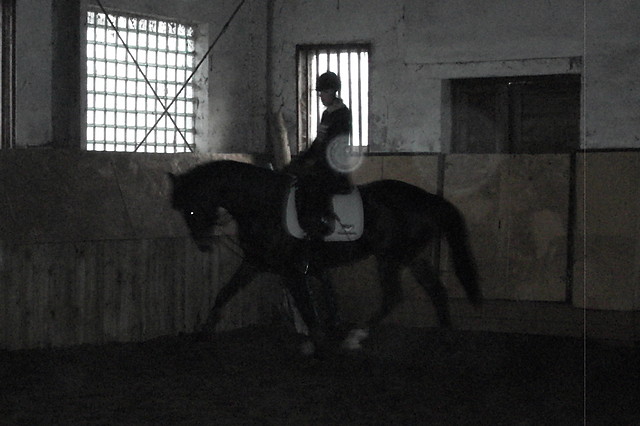 Wpis stables1