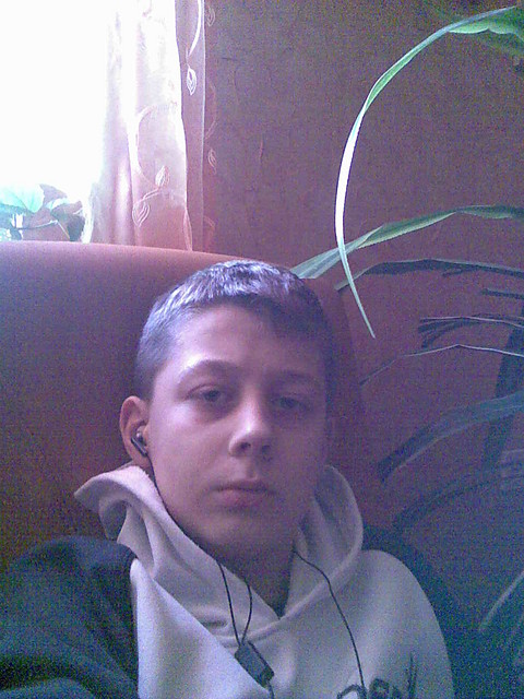 Wpis mori12