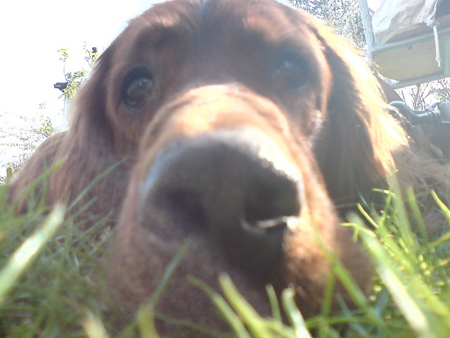 #Rudy.