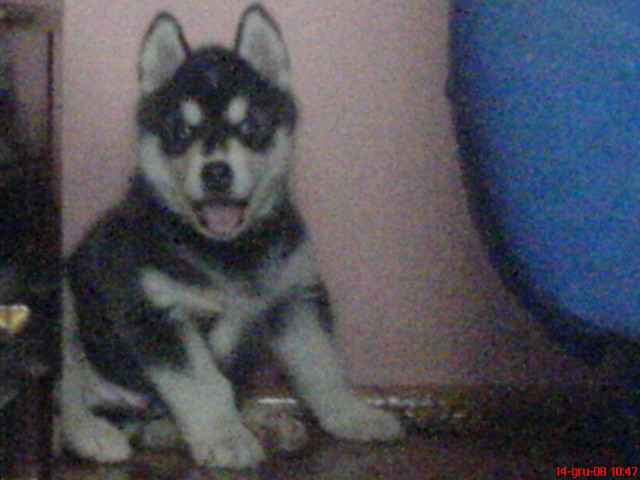 Bakster:)
